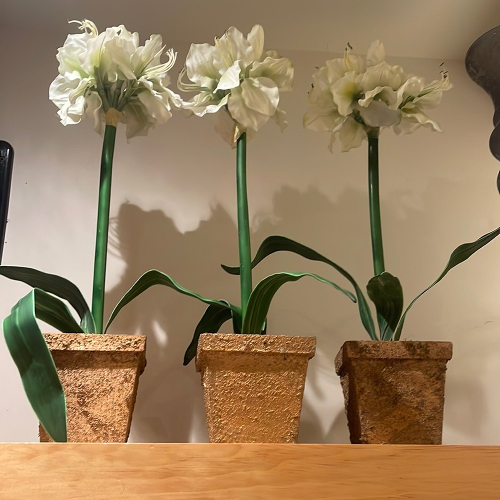 Set of 3 Floral Arrangements